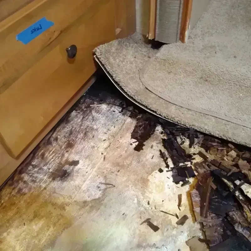 Wood Floor Water Damage in Lake Kiowa, TX